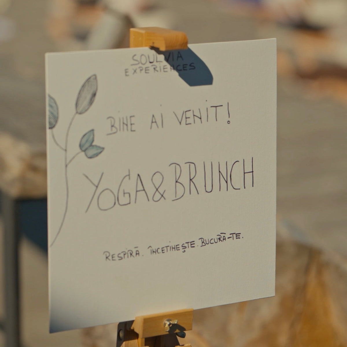 YOGA & BRUNCH ÎN NATURĂ | Duminică | 27 septembrie 2026 | ora 10:30 | Mărișel, Le Dome
